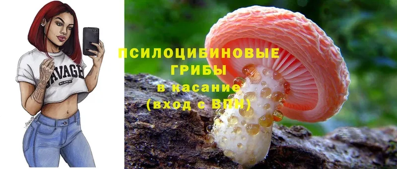 Псилоцибиновые грибы MAGIC MUSHROOMS  Алупка 